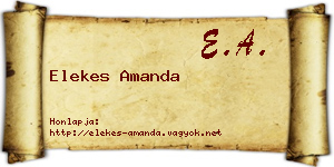Elekes Amanda névjegykártya